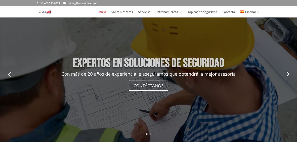 Sitio web VidaSafe USA